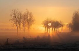 Wintermorgen mit Nebel von Jolanda van der Knaap