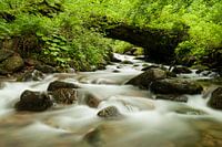 Waterval in Retezat nationaal park in Roemenië
