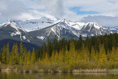 Canada van Menno Schaefer
