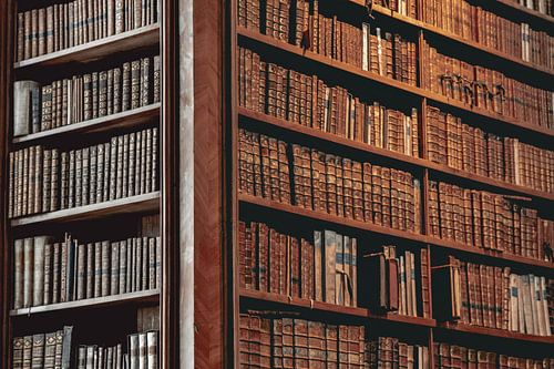 Oude boeken in de Weense bibliotheek