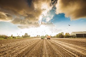 Aardappel rooien 3 van Andy Troy