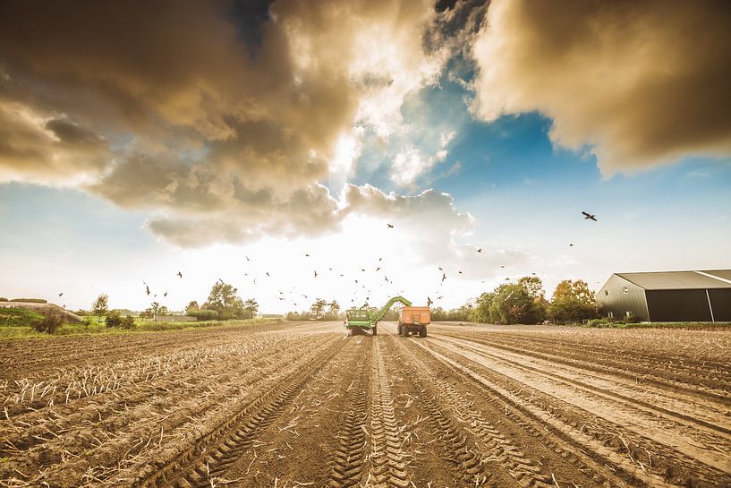 Aardappel rooien 3 van Andy Troy