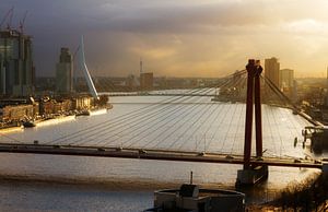 Bridges across the Meuse by Dennis van de Water