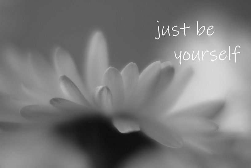 Eine Blume in schwarz weiß mit einem Spruch von art559