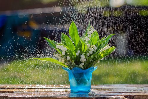 A fresh spring shower
