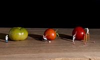 little world figures painting the green tomatoes red so they are ready to eat by ChrisWillemsen thumbnail