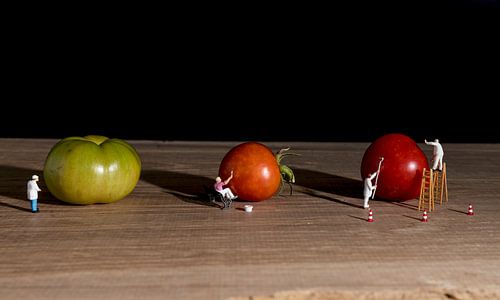 little world figures painting the green tomatoes red so they are ready to eat