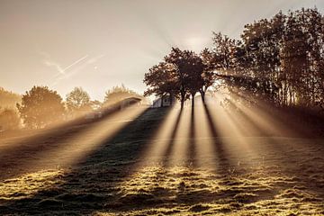 Sonnenaufgang Fijlenerbos von Rob Boon