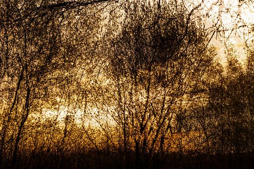 Mehrfachbelichtung Arendonk