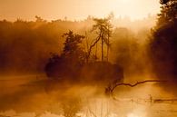 Een prachtige ochtend met zonsopkomst in het met nevel bedekte meer van Paul Wendels thumbnail