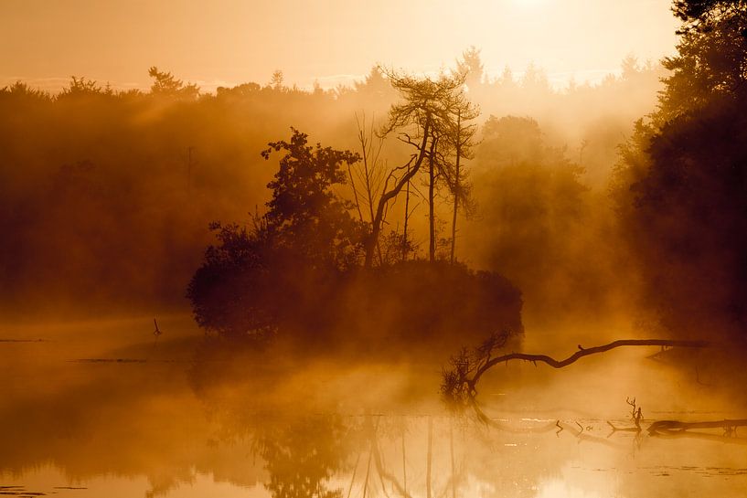 Een prachtige ochtend met zonsopkomst in het met nevel bedekte meer van Paul Wendels