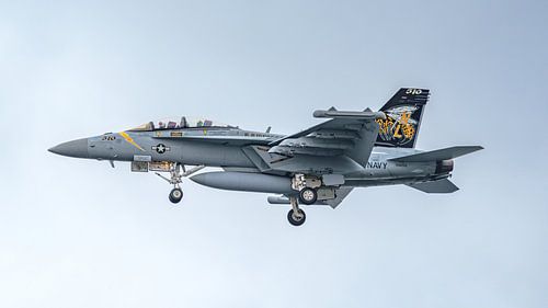 Landende U.S. Navy Boeing EA-18G Growler.