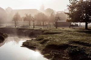 Nebel @ Wassermühle Wijlre