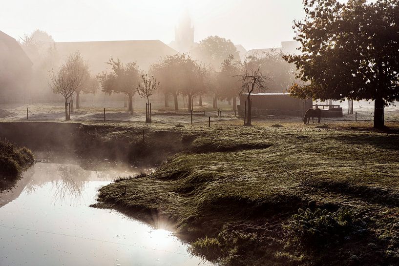 Fog @ Watermill Wijlre by Rob Boon