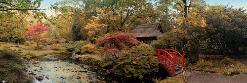natuur park, Den Haag