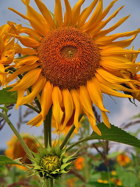 Père et fils par Edgar Schermaul