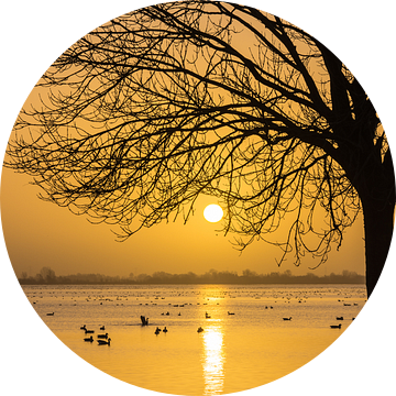Zonsopkomst boven Surfplas in Reeuwijk van Rinus Lasschuyt Fotografie