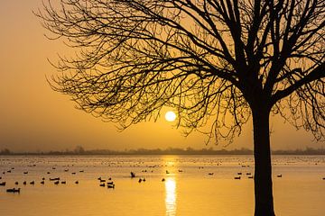 Zonsopkomst boven Surfplas in Reeuwijk van Rinus Lasschuyt Fotografie