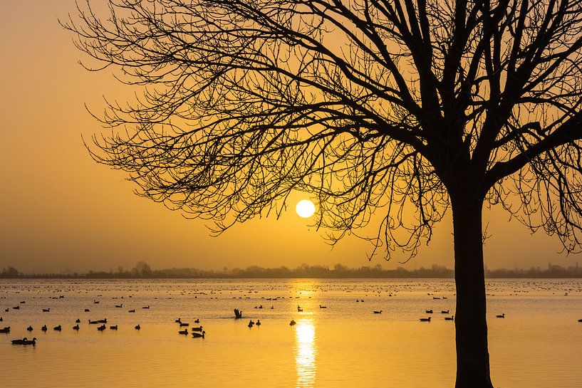 Zonsopkomst boven Surfplas in Reeuwijk par Rinus Lasschuyt Fotografie
