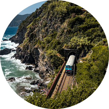 Trein aan de kust in Cinque Terre, Italië
