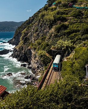 Zug an der Küste in Cinque Terre, Italien von Sidney van den Boogaard