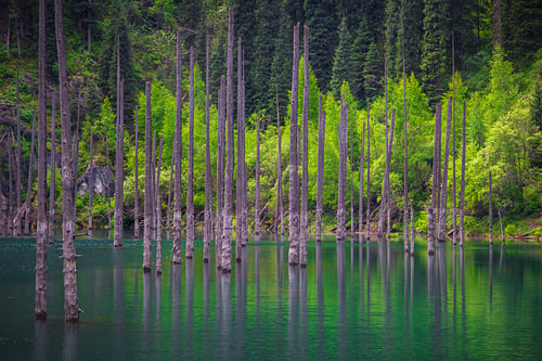 Kaindy Lake, Kazakhstan – the sunken forest of the Tian Shan