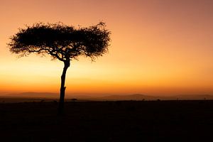 Zonsopkomst in Afrika. van Gunter Nuyts