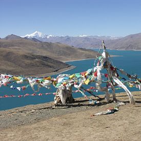Tibet van Anita van der Wiel