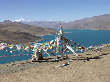 Tibet van Anita van der Wiel