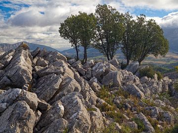 Andalusië - Sierra de las Nieves van BHotography