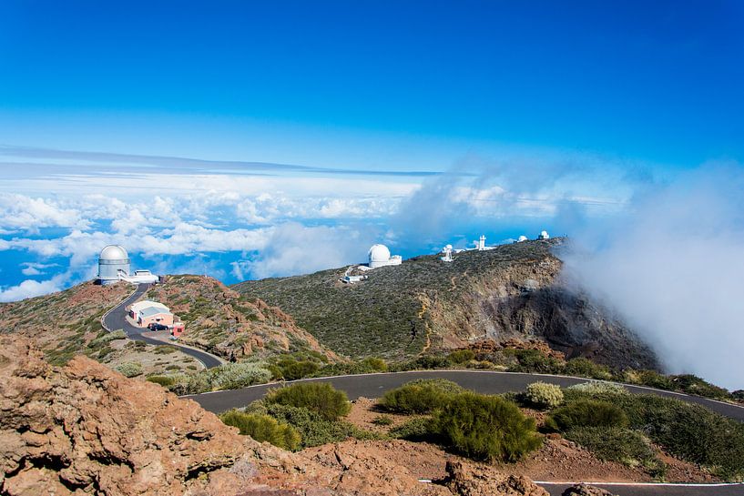 La Palma by Yara Verstappen