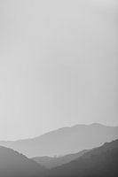 Lignes brumeuses (noir et blanc)