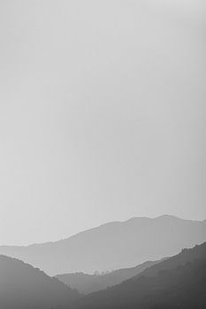 Foggy lines (black and white)