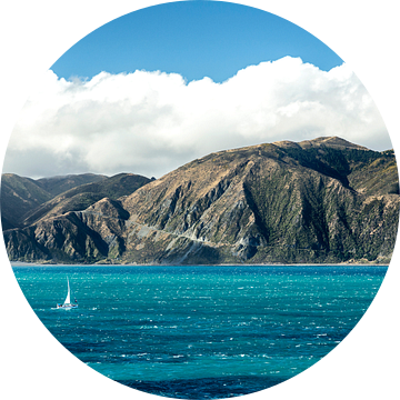 Kust Noordereiland Nieuw-Zeeland van Thomas Klinder