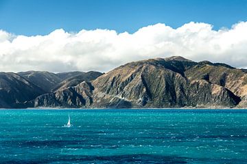 Kust Noordereiland Nieuw-Zeeland van Thomas Klinder