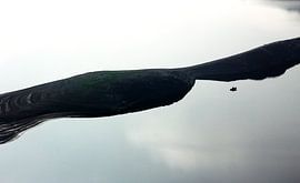 Fishing in Sauerland |