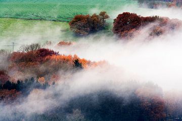 Aerial view of misty woods in autumn colors by Peter de Kievith Fotografie