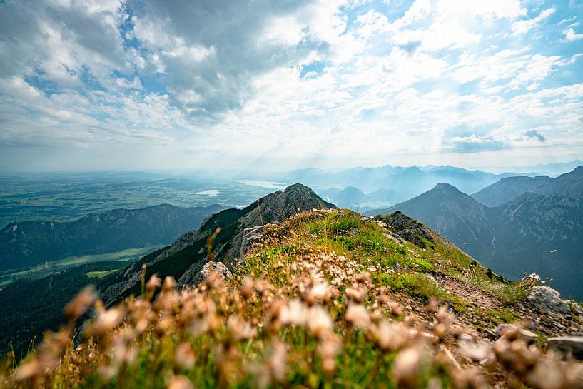 Puschel flowers over the Ostallgäu and its lakes by Leo Schindzielorz