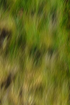 Abstract Grass 4