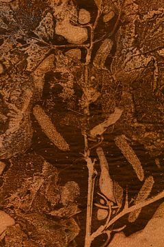 Terracotta Blad Monotype van Dina Dankers