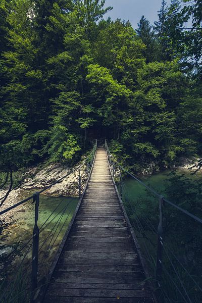 Einfache Hängebrücke über den Fluss Idrijca, Slowenien von Patrik Lovrin