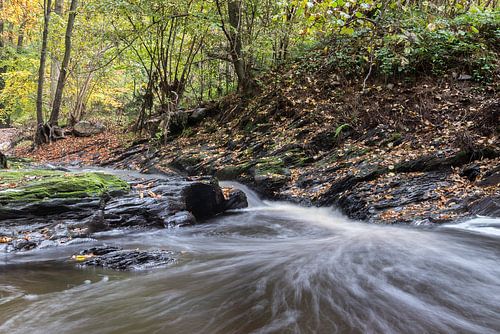 Het dal  van de Hoëgne (Ardennen)