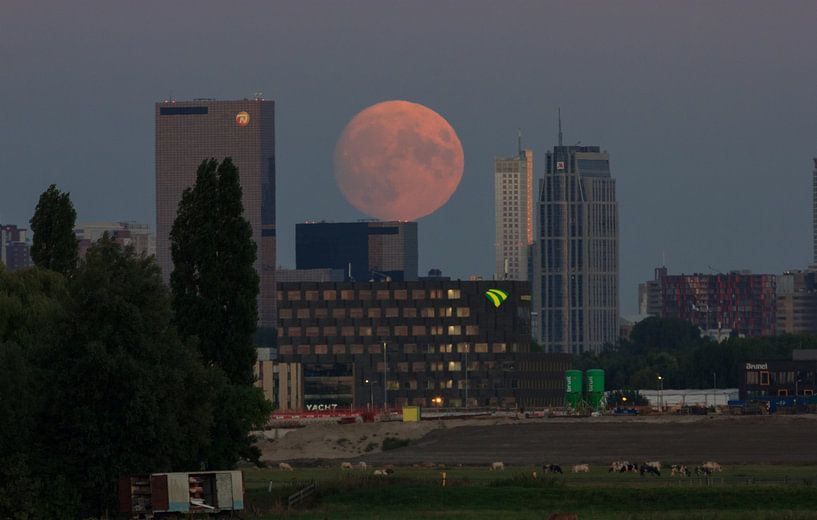 Full moon City of Rotterdam by Brandon Bouwman