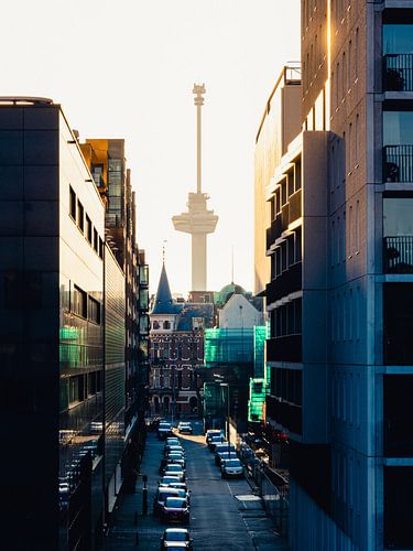 Euromast dans la lumière du soir (4:3)