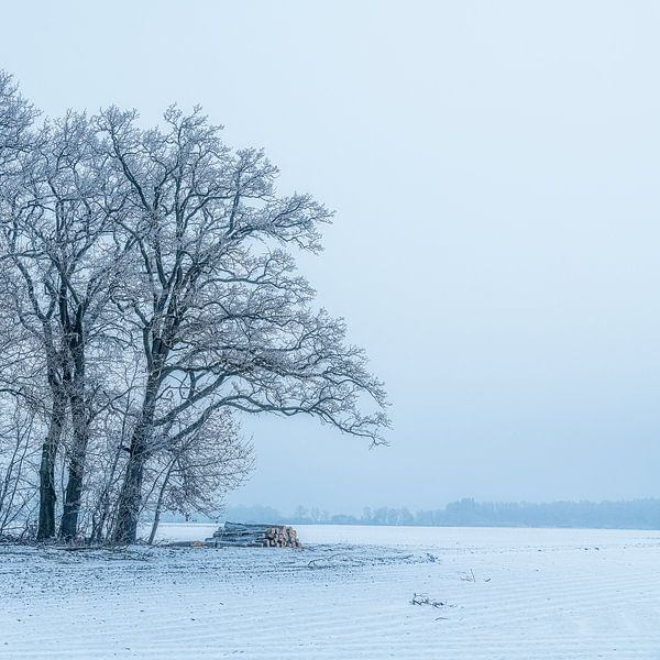 Wintertag von Peter Bergmann