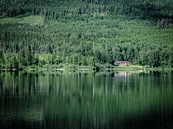 Zweeds boslandschap van Eddy Westdijk thumbnail