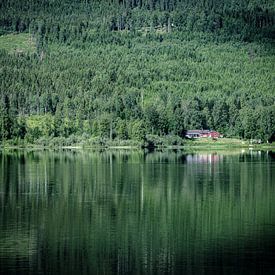 Zweeds boslandschap van Eddy Westdijk