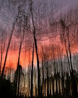 palette de couleurs du soleil couchant