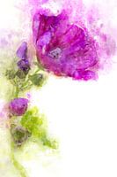 Blumen 12
