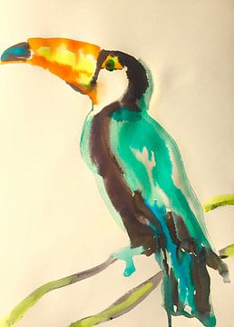 Turqoise Toucan